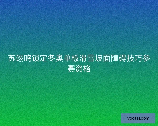 苏翊鸣锁定冬奥单板滑雪坡面障碍技巧参赛资格